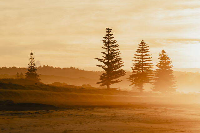 Coastal Calm: Bay of Plenty