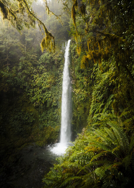 Jewel: Fiordland