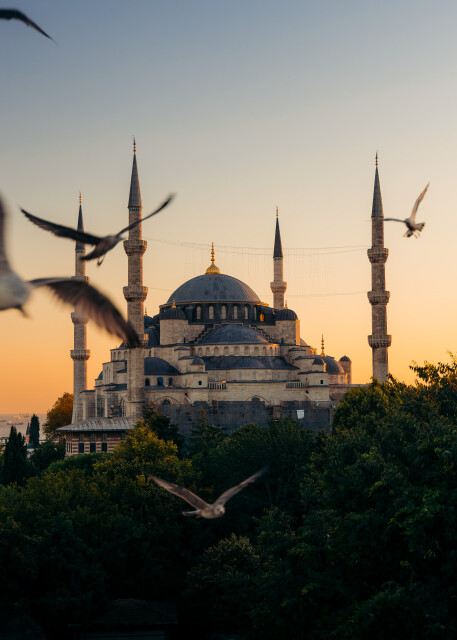 The Blue Mosque: Istanbul