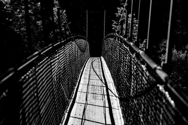 Into the Unknown