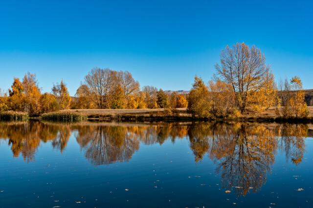 Autumn Reflection