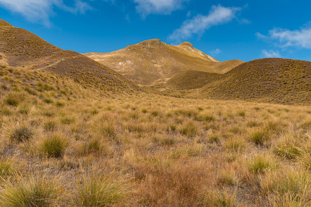 Lewis Pass