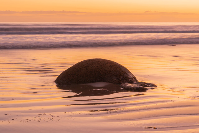 Moeraki Boulders 1