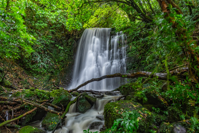 Matai Falls - Catlins 