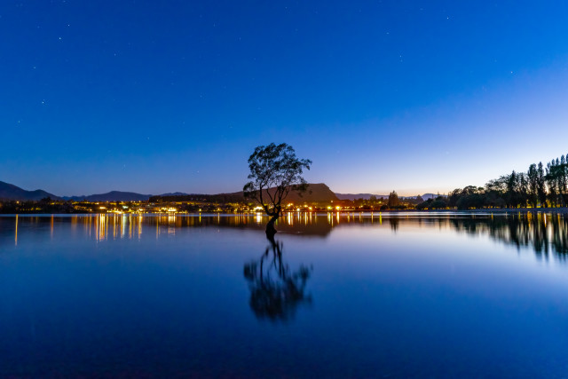 Wanaka with Wanaka Tree at Sunrise