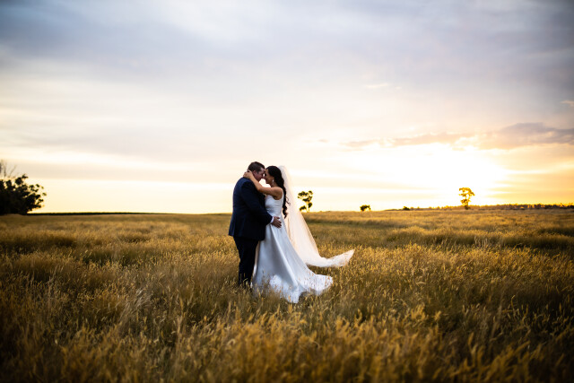 Serena + Brogan wedding photography
