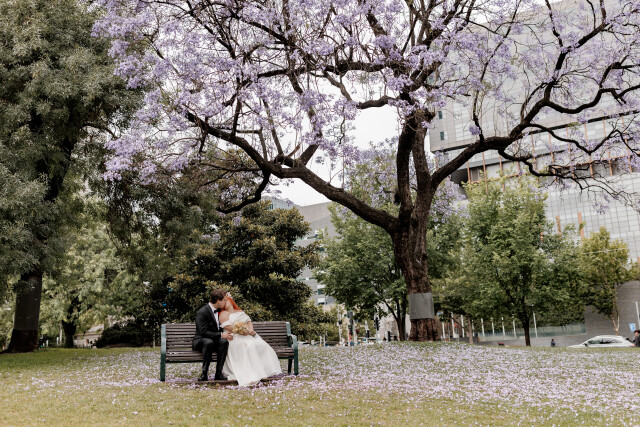 Nathan + Alyse wedding photography