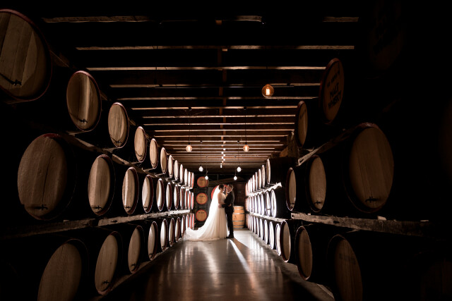 Alex + Hannah wedding photography