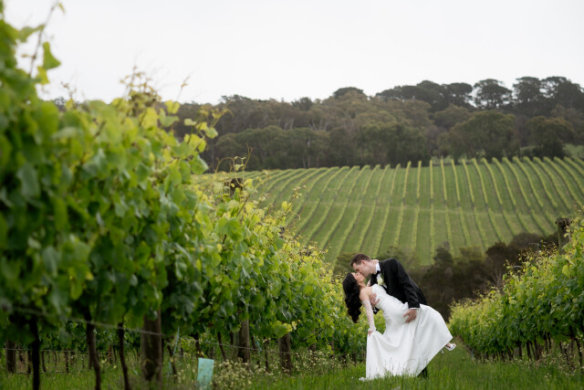 Zachary + Corina wedding photography