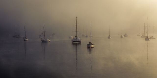 Waikawa Bay - Foggy Morning