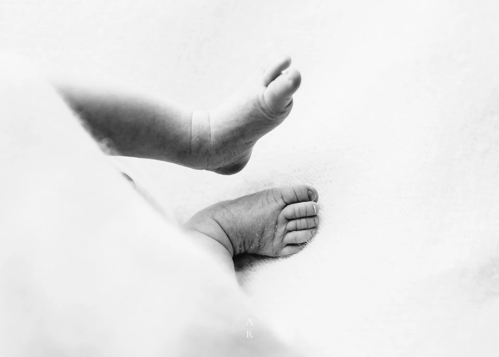 Baby milestone photography by Abby Reynolds Photography