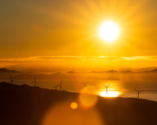 Sunset Starburst