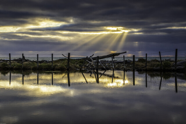 Dam reflections