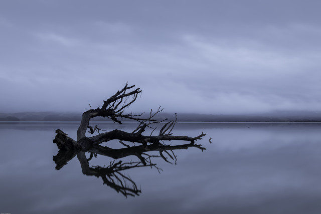 Moody blue hour