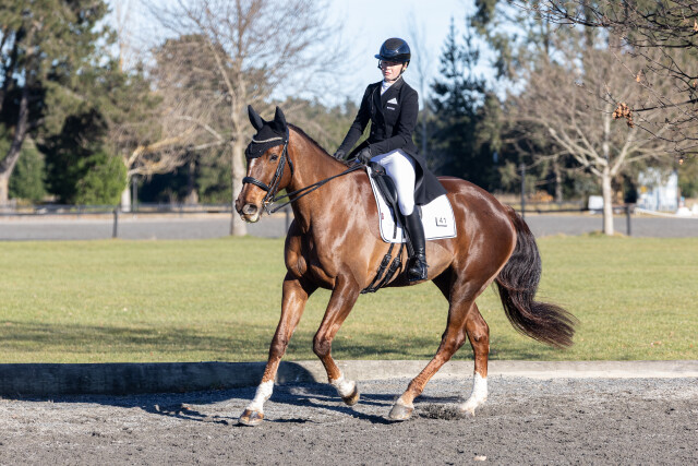 DRESSAGE 2 AUG 2026