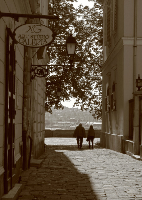Prague and Budapest 