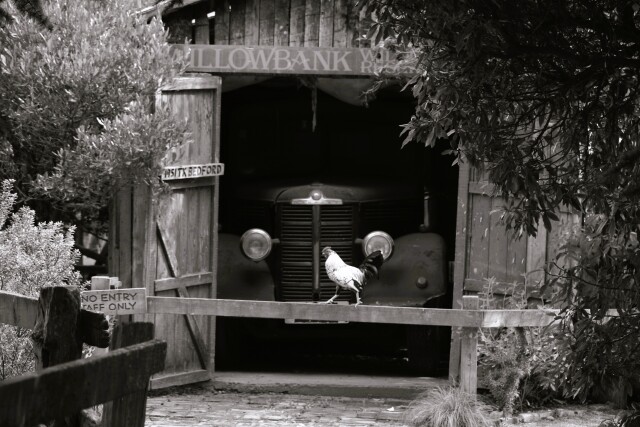 Willowbank, Christchurch, New Zealand
