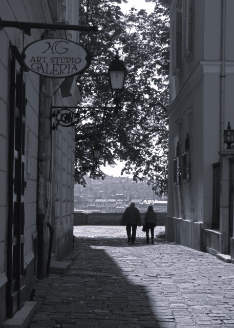 Prague and Budapest 