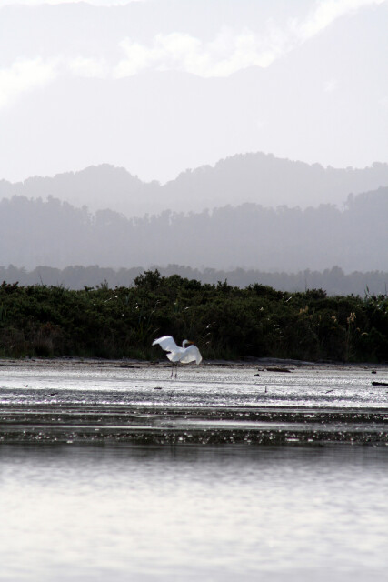 West coast, New Zealand