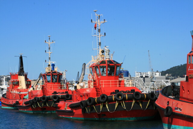 Tugboats Wellington Harbour