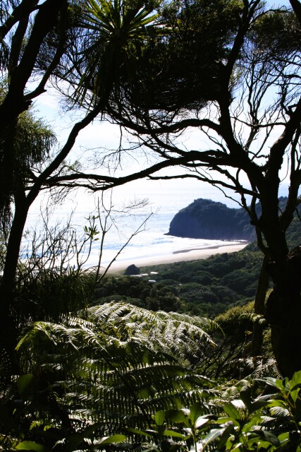Northland, New Zealand. 