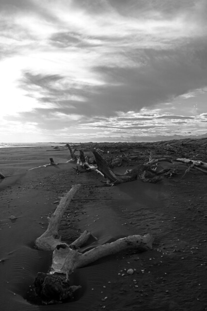 South Beach, Whanganui, New Zealand