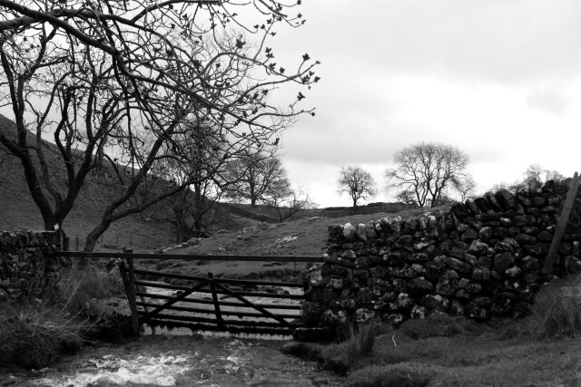 Lake District, Cumbria, UK. 