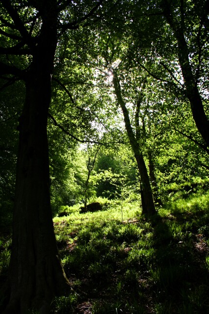 Hardcastle