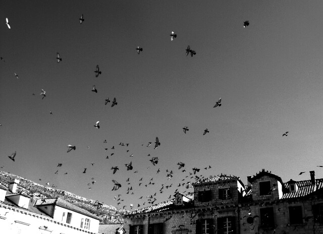 Dubrovnik Old town, Croatia. 