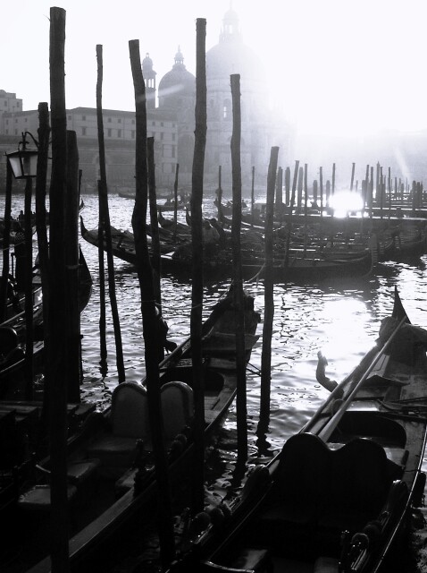 Venice Black and White