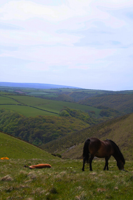 UK Dales 