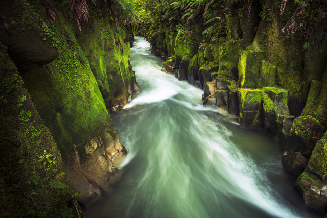 Te Whaiti-Nui-a-Toi Canyon