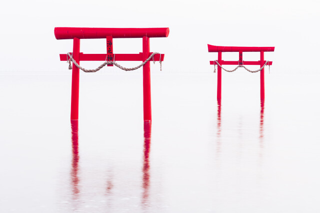The Floating Torii Gates of Ōuo Shrine, Tara, Japan
