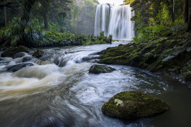 Whangārei Falls