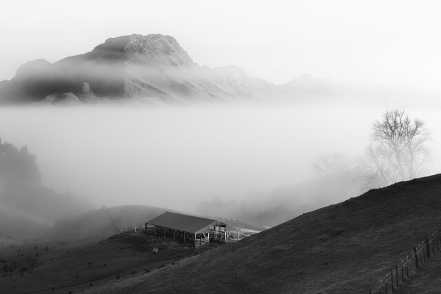 In the Embrace of Fog 4/5