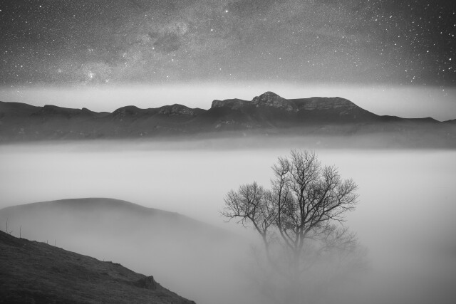 In the Embrace of Fog 5/5