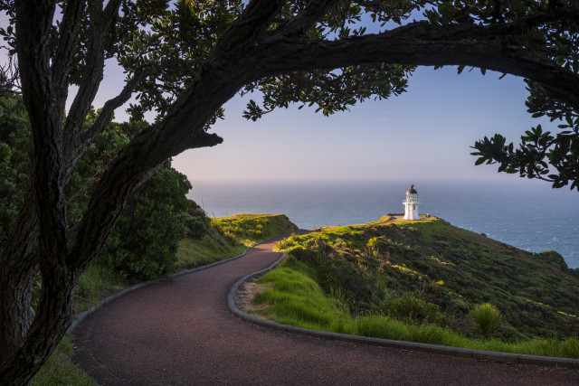 Cape Reinga Dreaming