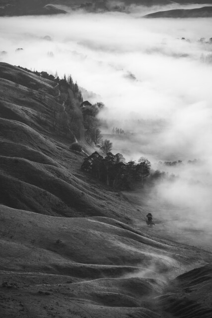 In the Embrace of Fog 1/5