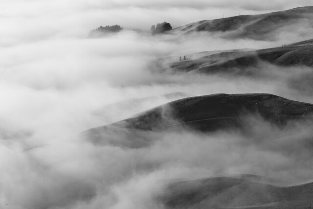 In the Embrace of Fog 3/5 