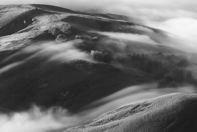 In the Embrace of Fog 2/5