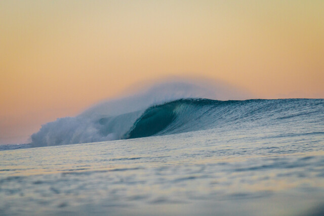 Dawn Delights
