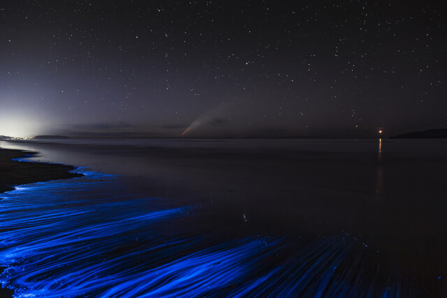 Kapiti Cosmic Light Show 