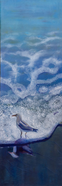 Seagull in the Shallows