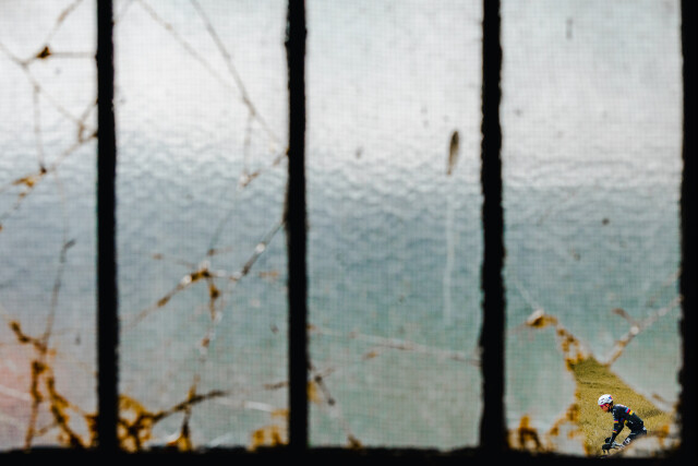 The Window - 2025