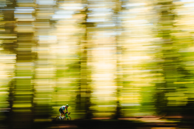 Liege Forests - 2026