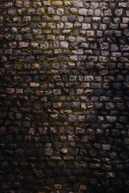 Arenberg - 2026