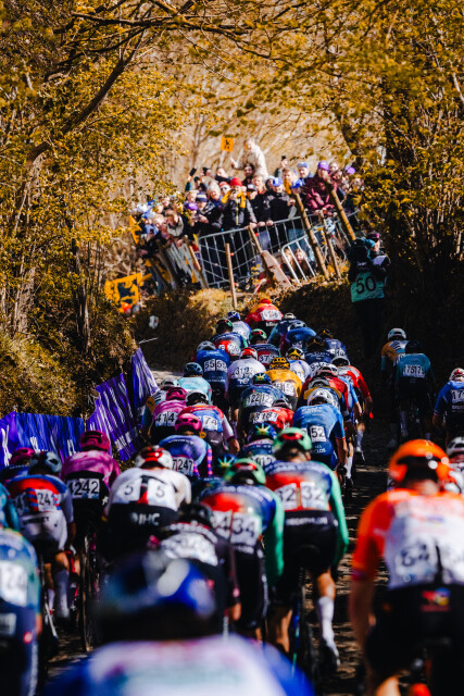Koppenberg - 2026
