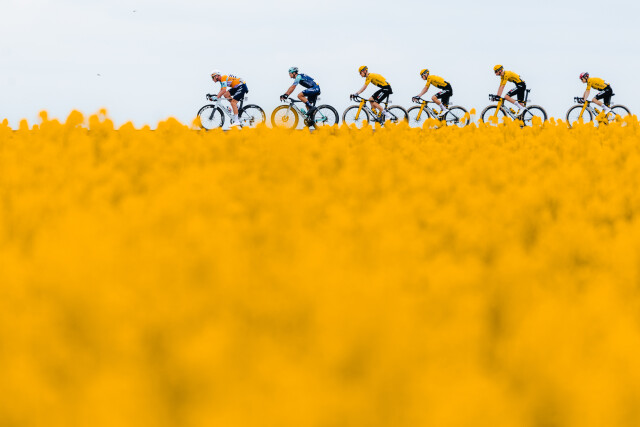 Bulgaria Fields - 2026