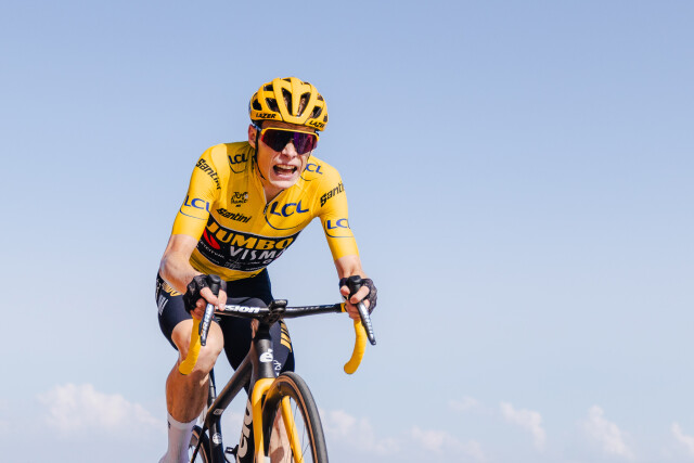 Yellow Jonas - - 2023