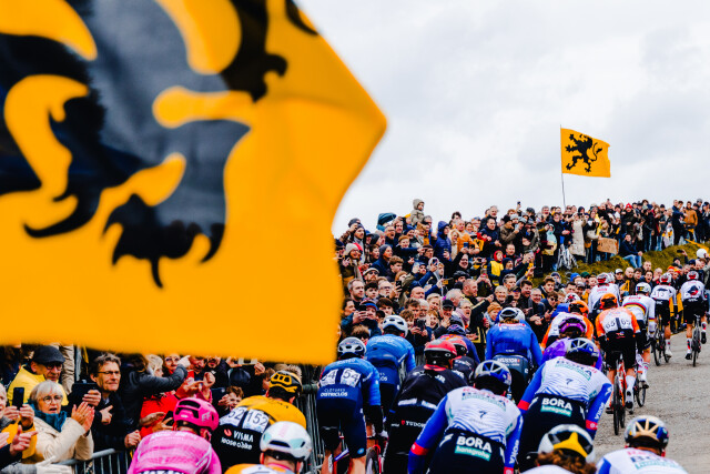 Flanders - 2026